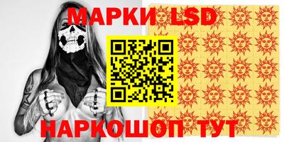 СК Дубна