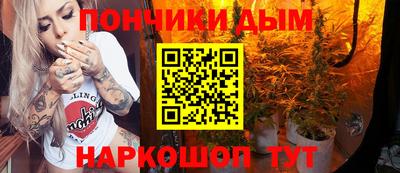 СК Дубна